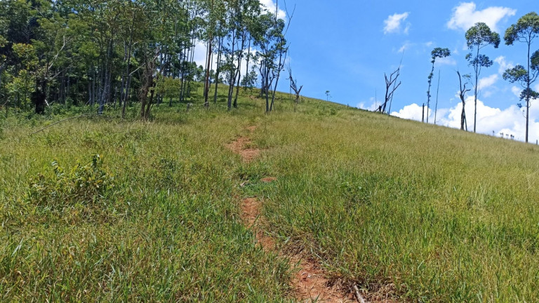 Imagem Chácara à Venda, 200 m² em Centro - Paraibuna