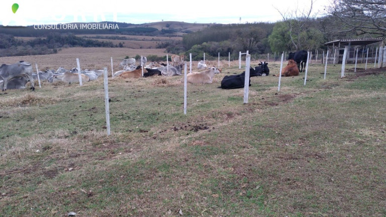 Imagem Imóvel com 1 Quarto à Venda, 1.137.400 m² em Centro - Paranapanema Imagem Imóvel com 1 Quarto à Venda, 1.137.400 m² em Centro - Paranapanema