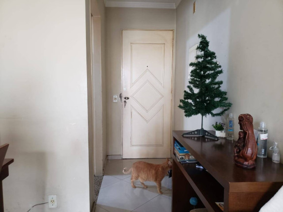 Imagem Apartamento com 3 Quartos à Venda, 70 m² em Mooca - São Paulo