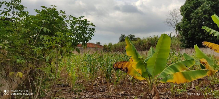 Imagem Terreno à Venda, 1.000 m² em Bosque Dos Eucaliptos - Araçoiaba Da Serra Imagem Terreno à Venda, 1.000 m² em Bosque Dos Eucaliptos - Araçoiaba Da Serra