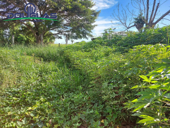 Imagem Terreno à Venda, 450 m² em águas Claras - Viamão