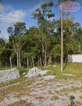 Imagem Terreno à Venda, 1.000 m² em Jardim Dos Eucaliptos - Suzano