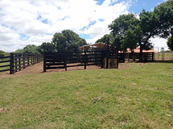 Imagem Fazenda à Venda, 113 m² em Rural - Paranapanema Imagem Fazenda à Venda, 113 m² em Rural - Paranapanema