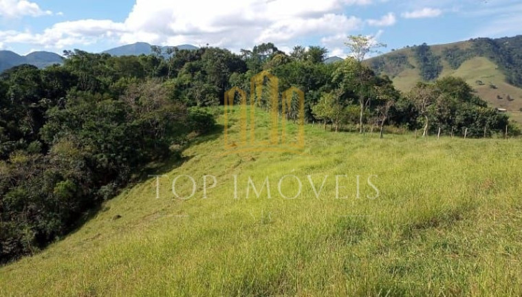 Imagem Fazenda à Venda, 84.280 m² em área Rural De São Francisco Xavier - São José Dos Campos Imagem Fazenda à Venda, 84.280 m² em área Rural De São Francisco Xavier - São José Dos Campos