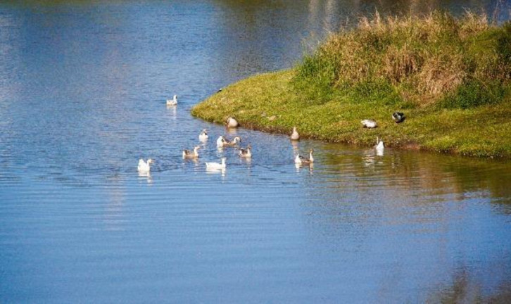 Imagem Imóvel à Venda, em Aberta Dos Morros - Porto Alegre Imagem Imóvel à Venda, em Aberta Dos Morros - Porto Alegre