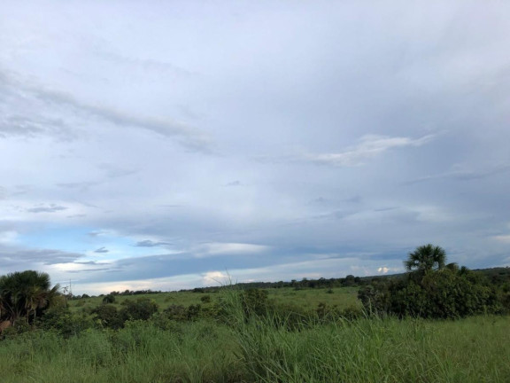 Imagem Fazenda à Venda,  em Rural - Figueirópolis