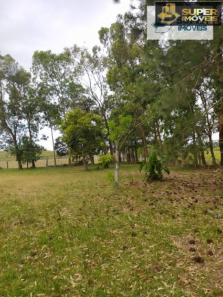 Imagem Imóvel com 2 Quartos à Venda, 60.000 m² em Quinta - Rio Grande