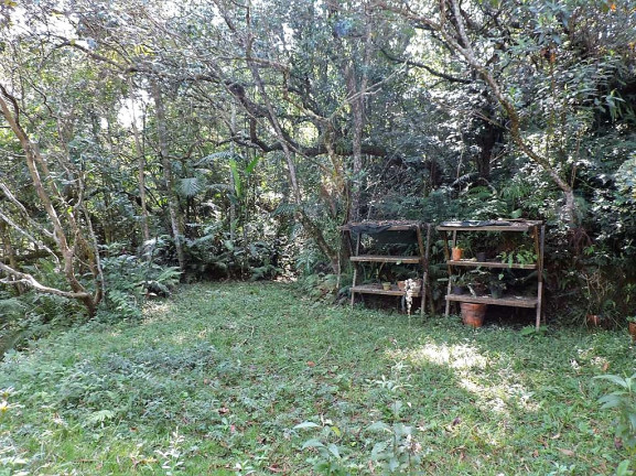 Imagem Casa com 3 Quartos à Venda, 378 m² em Chácaras Do Peroba - Jandira Imagem Casa com 3 Quartos à Venda, 378 m² em Chácaras Do Peroba - Jandira