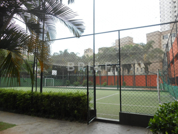 Imagem Apartamento com 3 Quartos para Alugar, 75 m² em Jardim Caboré - São Paulo Imagem Apartamento com 3 Quartos para Alugar, 75 m² em Jardim Caboré - São Paulo