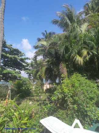 Imagem Casa com 4 Quartos à Venda, 1.000 m² em Itapuã - Salvador Imagem Casa com 4 Quartos à Venda, 1.000 m² em Itapuã - Salvador
