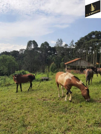 Imóvel com 3 Quartos à Venda, 16.200 m² em Zona Rural - Quatro Barras