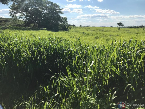 Imóvel à Venda, 535.000 m² em Centro - Gurinhatã