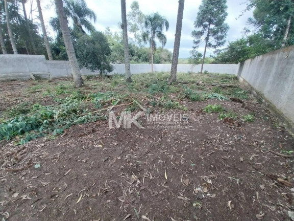 Imagem Terreno à Venda, em Planta Meireles - Piraquara Imagem Terreno à Venda, em Planta Meireles - Piraquara