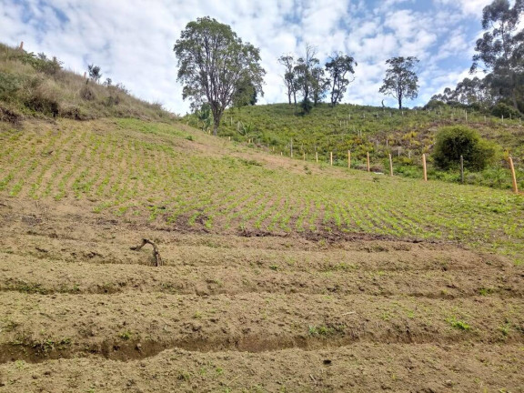 Imagem Chácara à Venda, 2 m² em Briet Catuçaba - São Luíz Do Paraitinga Imagem Chácara à Venda, 2 m² em Briet Catuçaba - São Luíz Do Paraitinga