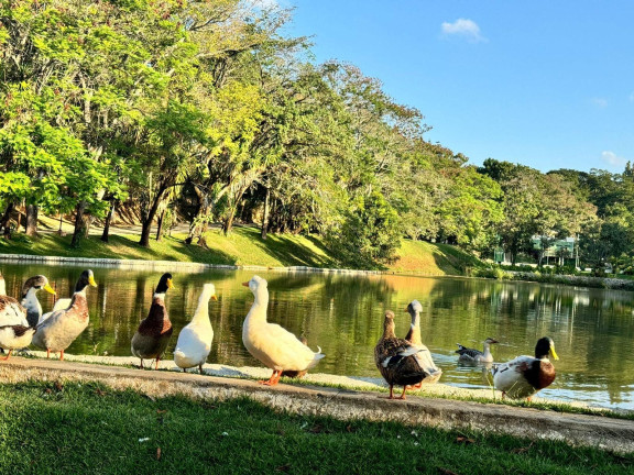 Imagem Terreno à Venda, 1.500 m² em Condomínio Vale Do Ouro - Ribeirão Das Neves