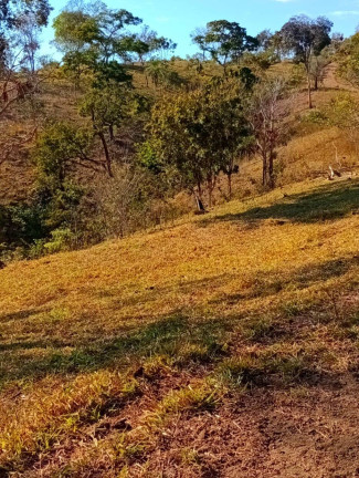 Imagem Fazenda à Venda, 12 m² em Zona Rural - Padre Bernardo Imagem Fazenda à Venda, 12 m² em Zona Rural - Padre Bernardo