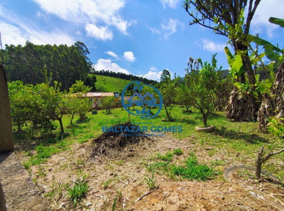 Imagem Imóvel com 3 Quartos à Venda, 3.500 m² em Salesópolis Imagem Imóvel com 3 Quartos à Venda, 3.500 m² em Salesópolis