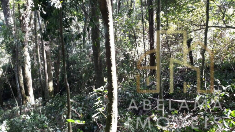 Imagem Terreno à Venda, 5.200 m² em Moreiras - Mairinque