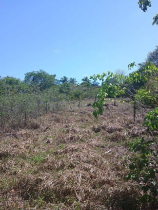 Imagem Terreno à Venda, 1.000 m² em Centro De Tibau Do Sul - Tibau Do Sul Imagem Terreno à Venda, 1.000 m² em Centro De Tibau Do Sul - Tibau Do Sul