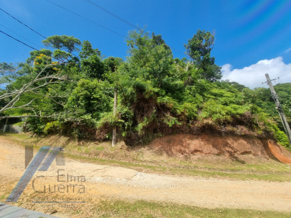 Imagem Terreno à Venda, 1.200 m² em Praia Do Pulso - Ubatuba