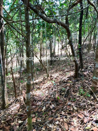 Imagem Imóvel à Venda, 1.000 m² em Jeribucaçu - Itacaré Imagem Imóvel à Venda, 1.000 m² em Jeribucaçu - Itacaré