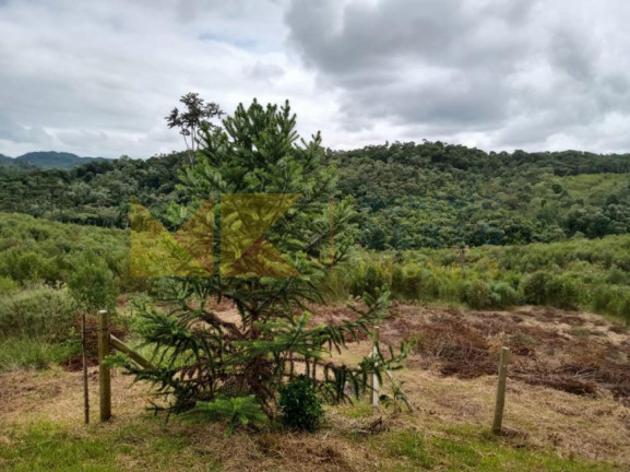 Imagem Fazenda à Venda, 64.288 m² em Barra Avencal - Rio Dos Cedros