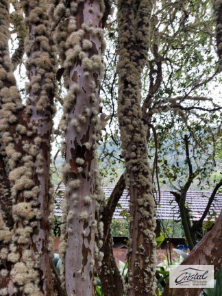 Imagem Chácara com 2 Quartos à Venda, 397 m² em Serra Da Cantareira - Mairiporã Imagem Chácara com 2 Quartos à Venda, 397 m² em Serra Da Cantareira - Mairiporã