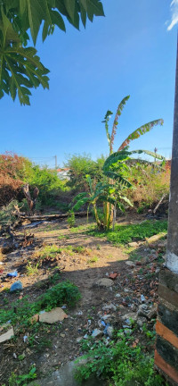 Imagem Casa com 3 Quartos à Venda, 300 m² em Santo Antônio - Teresina Imagem Casa com 3 Quartos à Venda, 300 m² em Santo Antônio - Teresina