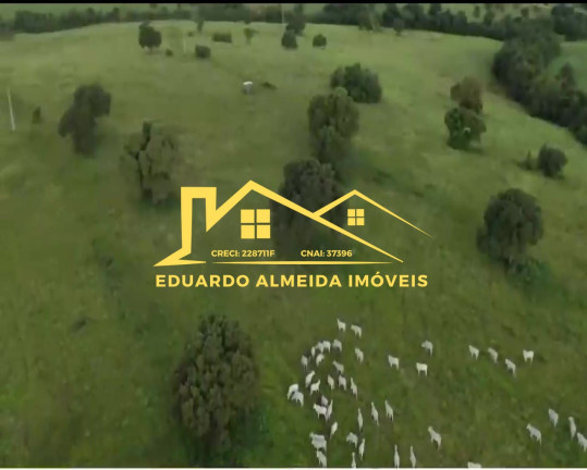 Imagem Imóvel à Venda,  em Barreira Da Onça - Arraias
