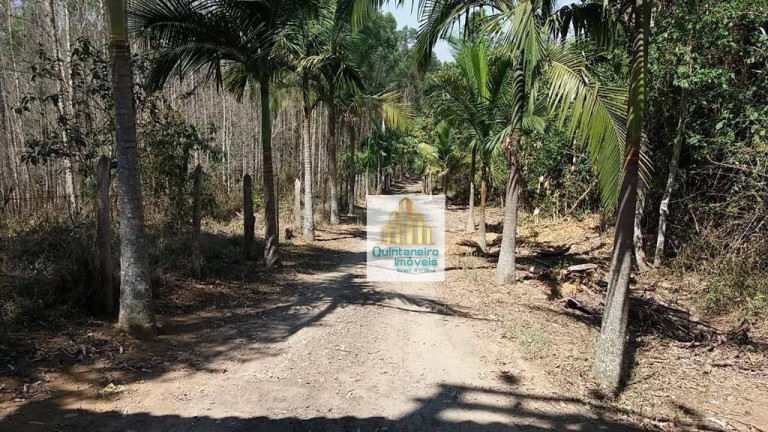 Imagem Chácara com 2 Quartos à Venda, 48.000 m² em Monte Negro - Santa Isabel Imagem Chácara com 2 Quartos à Venda, 48.000 m² em Monte Negro - Santa Isabel