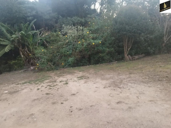 Imagem Imóvel com 3 Quartos à Venda, 48.400 m² em Colônia Murici - São José Dos Pinhais Imagem Imóvel com 3 Quartos à Venda, 48.400 m² em Colônia Murici - São José Dos Pinhais