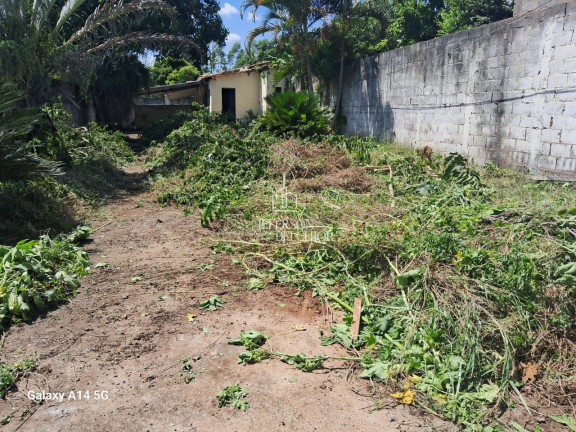 Imagem Terreno à Venda, 540 m² em Vila Santa Luzia - Mogi Mirim Imagem Terreno à Venda, 540 m² em Vila Santa Luzia - Mogi Mirim