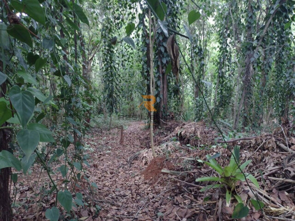 Imagem Casa de Condomínio com 3 Quartos à Venda, 200 m² em Campinho - Lagoa Santa