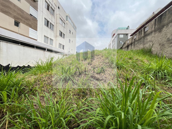 Imagem Terreno à Venda, 362 m² em Fernão Dias - Belo Horizonte Imagem Terreno à Venda, 362 m² em Fernão Dias - Belo Horizonte