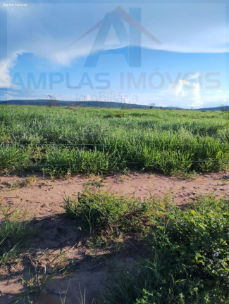 Imagem Fazenda à Venda, 4.050 m² em Jaíba