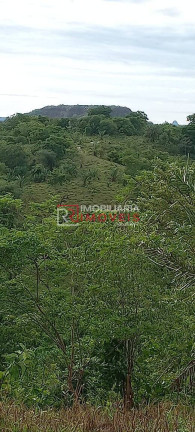 Imagem Fazenda à Venda, 1.411 m² em Poxoréo Imagem Fazenda à Venda, 1.411 m² em Poxoréo