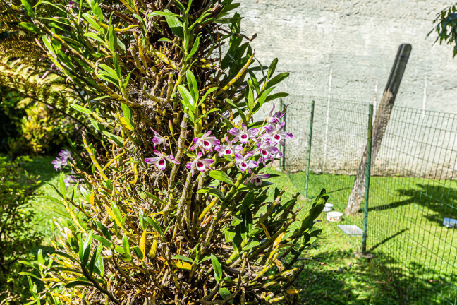 Imagem Casa com 3 Quartos à Venda, 180 m² em Mossunguê - Curitiba Imagem Casa com 3 Quartos à Venda, 180 m² em Mossunguê - Curitiba