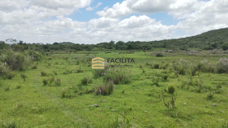 Imagem Imóvel à Venda, 3.300.000 m² em 2º Distrito - Piratini Imagem Imóvel à Venda, 3.300.000 m² em 2º Distrito - Piratini