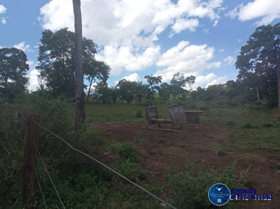 Imagem Fazenda à Venda, 195 m² em Zona Rural - Ribeirão Cascalheira Imagem Fazenda à Venda, 195 m² em Zona Rural - Ribeirão Cascalheira