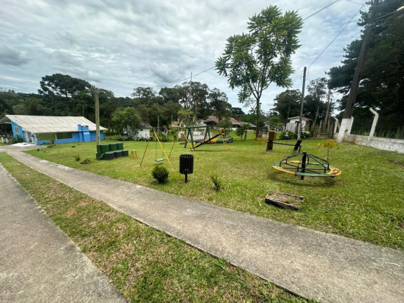 Imagem Imóvel com 3 Quartos à Venda, 8.000 m² em Campo Alto - Tijucas Do Sul Imagem Imóvel com 3 Quartos à Venda, 8.000 m² em Campo Alto - Tijucas Do Sul