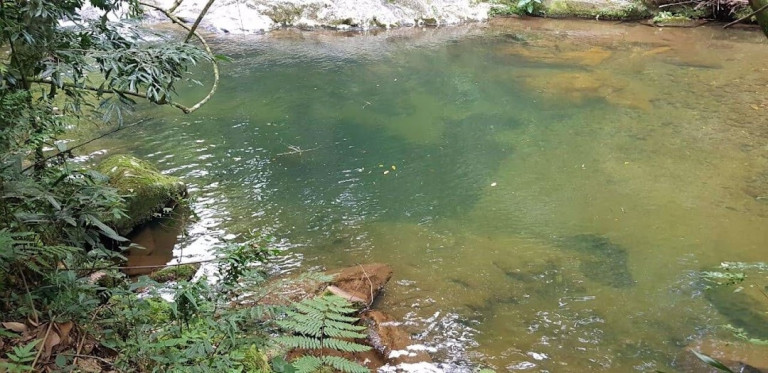 Imagem Chácara com 2 Quartos à Venda, 100 m² em Campos De Cunha - Silveiras