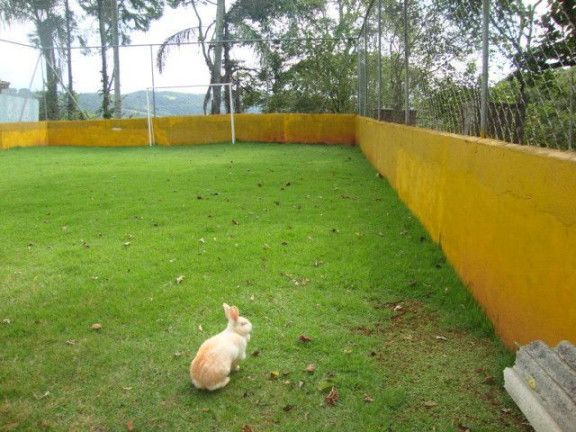 Imagem Imóvel com 3 Quartos à Venda, 2.345 m² em Centro - Mairiporã Imagem Imóvel com 3 Quartos à Venda, 2.345 m² em Centro - Mairiporã