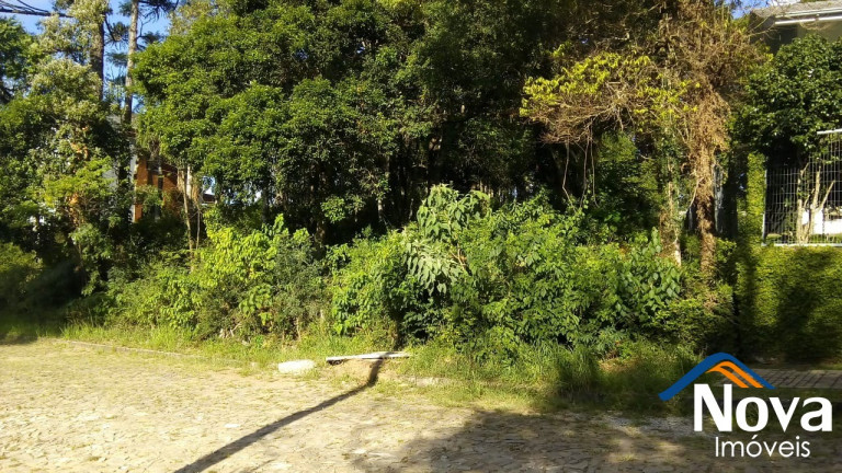 Imagem Imóvel à Venda, 750 m² em Juriti - Nova Petrópolis Imagem Imóvel à Venda, 750 m² em Juriti - Nova Petrópolis