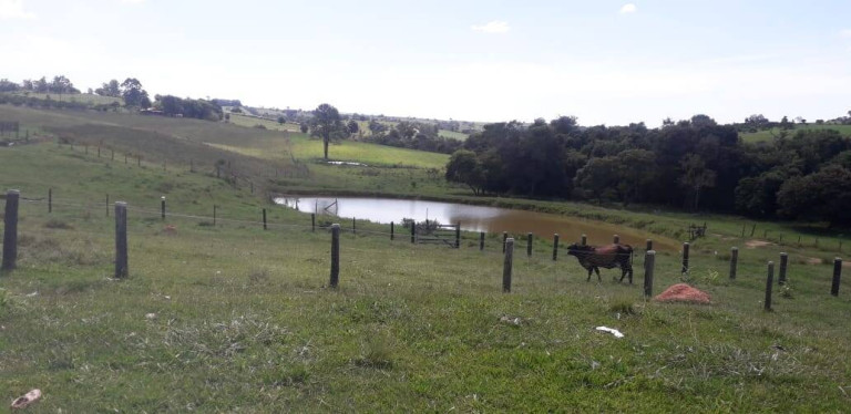 Imagem Chácara com 2 Quartos à Venda, 95.000 m² em Cercadinho - Alambari Imagem Chácara com 2 Quartos à Venda, 95.000 m² em Cercadinho - Alambari