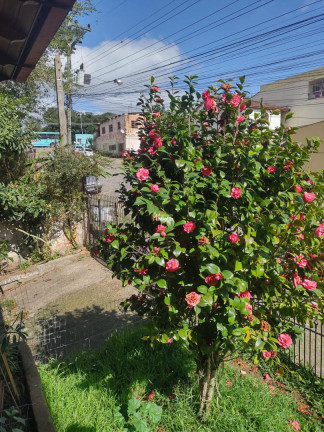 Imagem Casa com 3 Quartos à Venda, 300 m² em Cecília - Viamão Imagem Casa com 3 Quartos à Venda, 300 m² em Cecília - Viamão