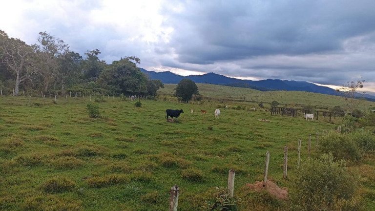 Imagem Fazenda à Venda, 100 m² em Estiva - Taubaté Imagem Fazenda à Venda, 100 m² em Estiva - Taubaté
