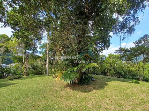 Imagem Imóvel com 4 Quartos à Venda, 10.920 m² em Granja Guarani - Teresópolis Imagem Imóvel com 4 Quartos à Venda, 10.920 m² em Granja Guarani - Teresópolis