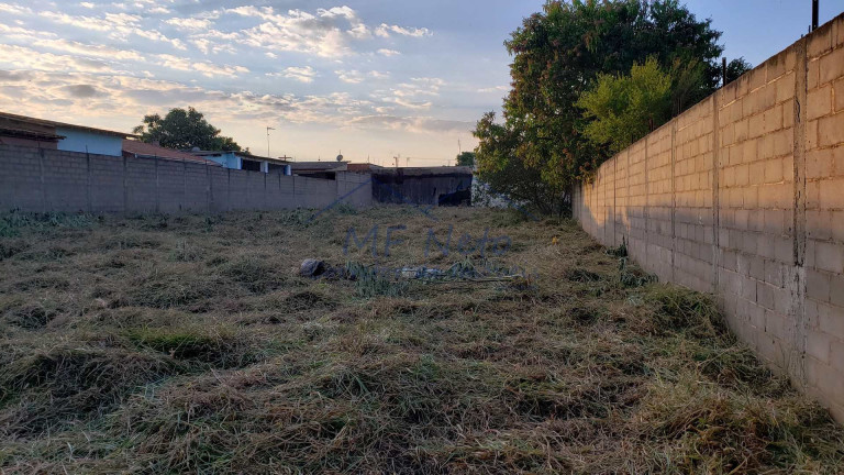 Imagem Terreno à Venda, 650 m² em Vila São Guido - Pirassununga