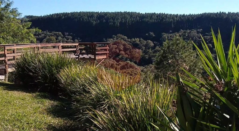 Imagem Chácara com 1 Quarto à Venda, 1 m² em Itambezinho - Campo Largo