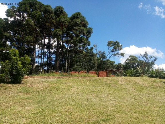 Imagem Casa com 3 Quartos à Venda, 160 m² em Linha Imperial - Nova Petrópolis Imagem Casa com 3 Quartos à Venda, 160 m² em Linha Imperial - Nova Petrópolis